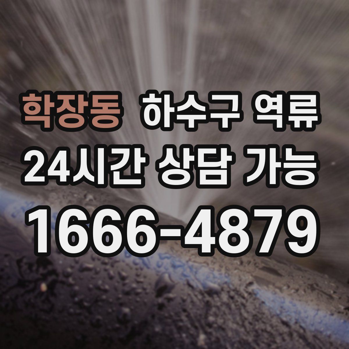 학장동 하수구 역류