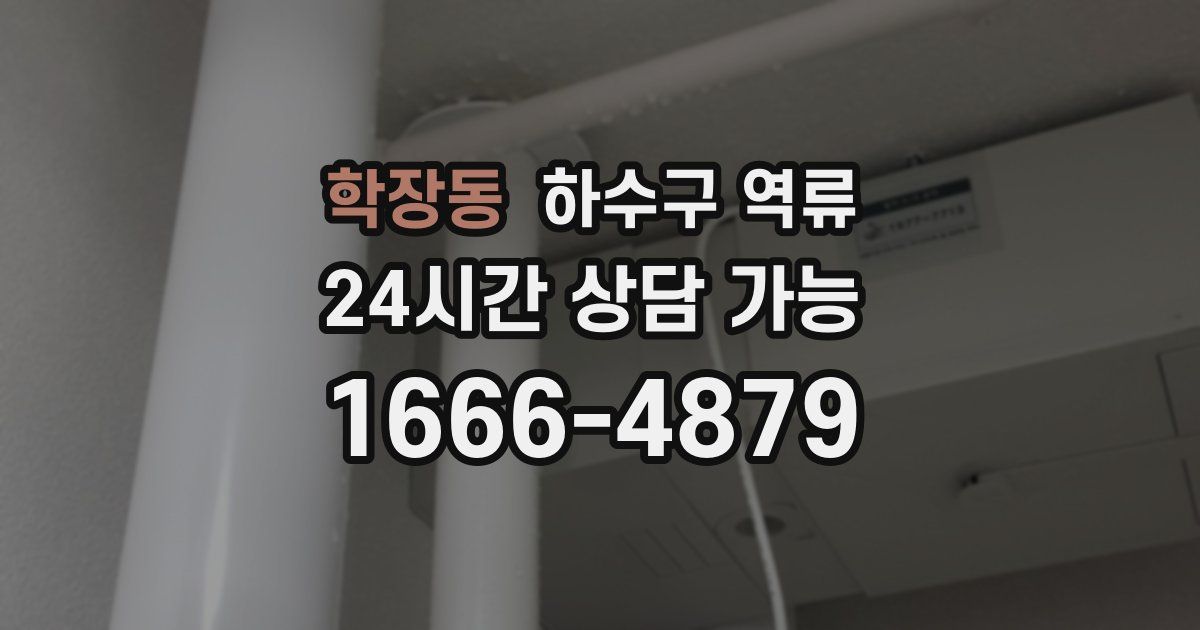 학장동 하수구 역류