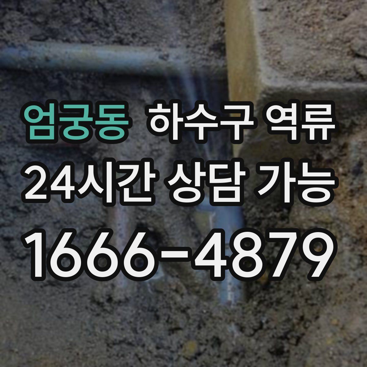 엄궁동 하수구 역류