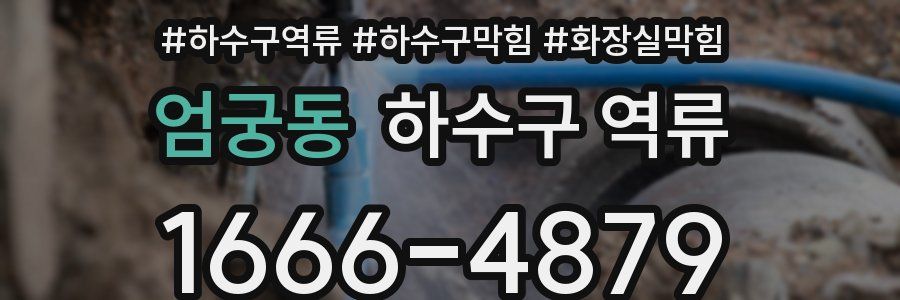 엄궁동 하수구 역류