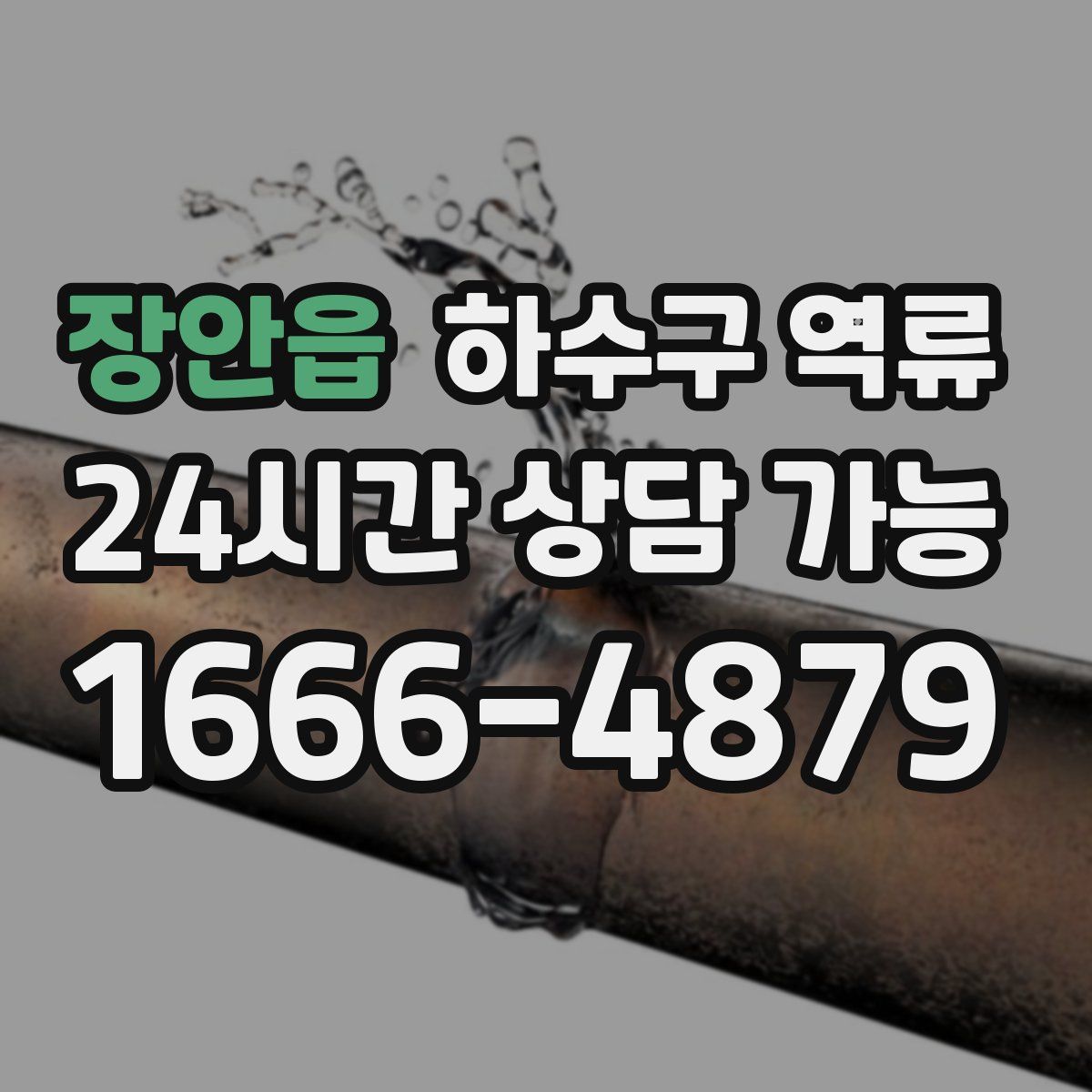 장안읍 하수구 역류