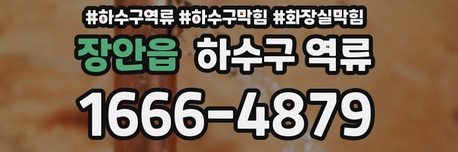 장안읍 하수구 역류