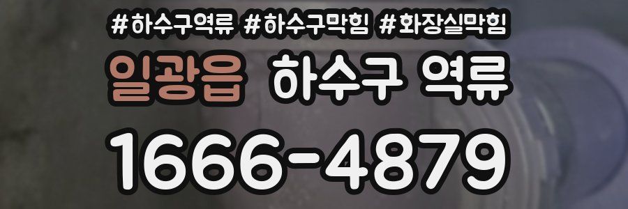 일광읍 하수구 역류