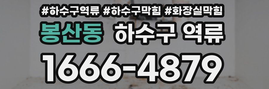 봉산동 하수구 역류