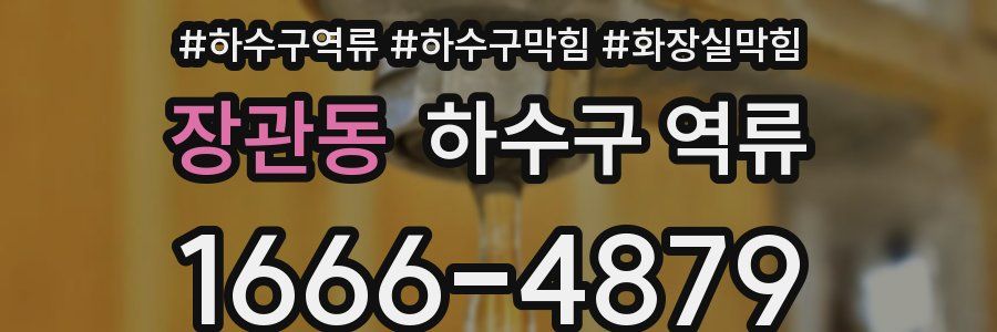 장관동 하수구 역류