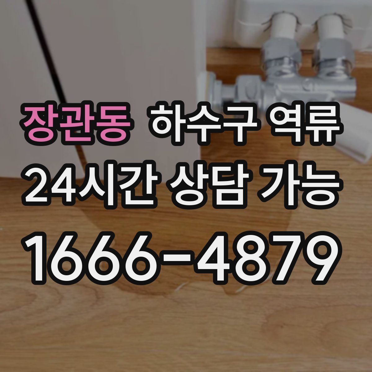 장관동 하수구 역류