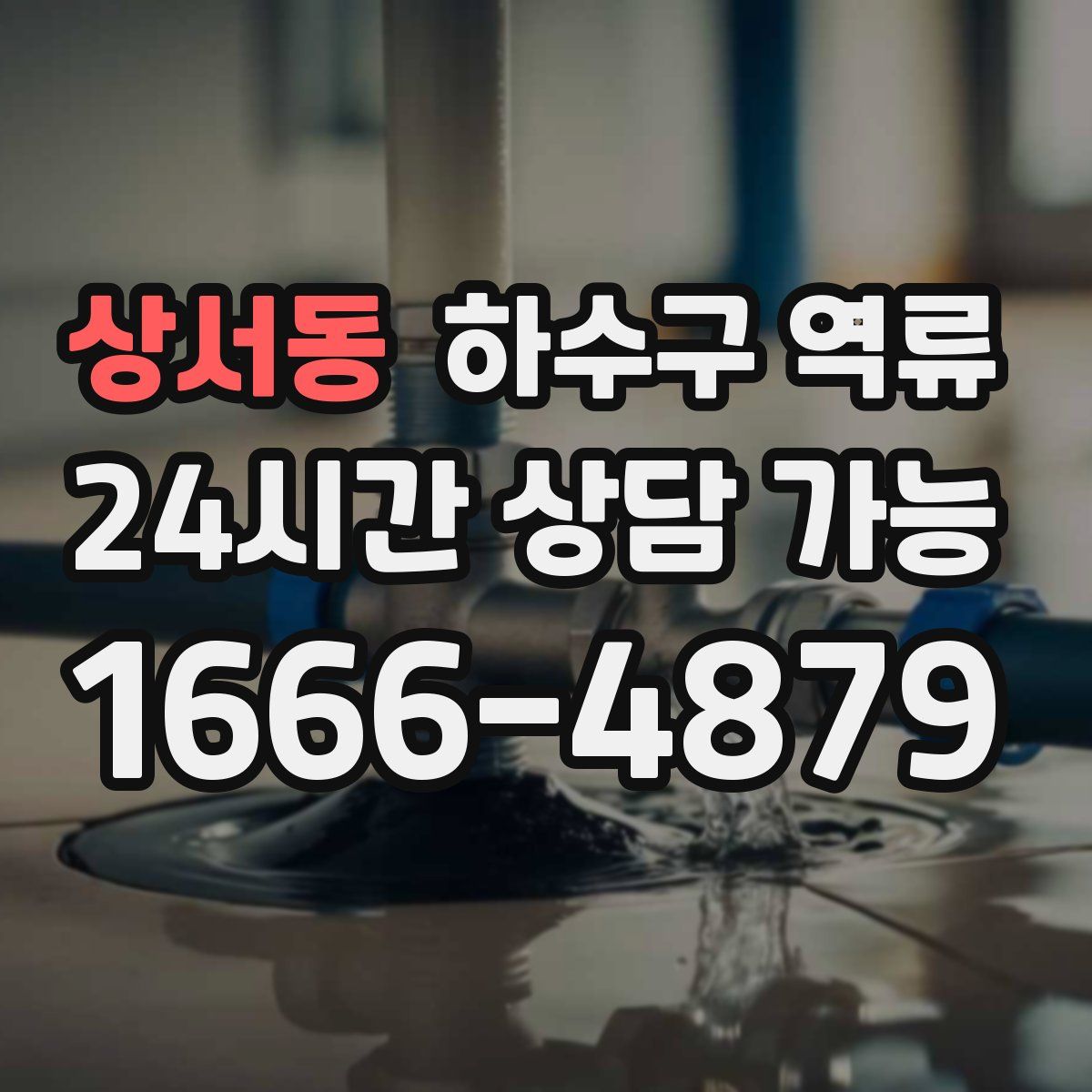 상서동 하수구 역류