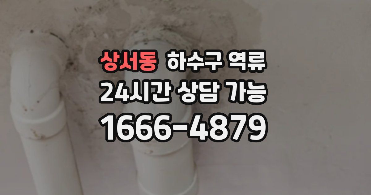 상서동 하수구 역류