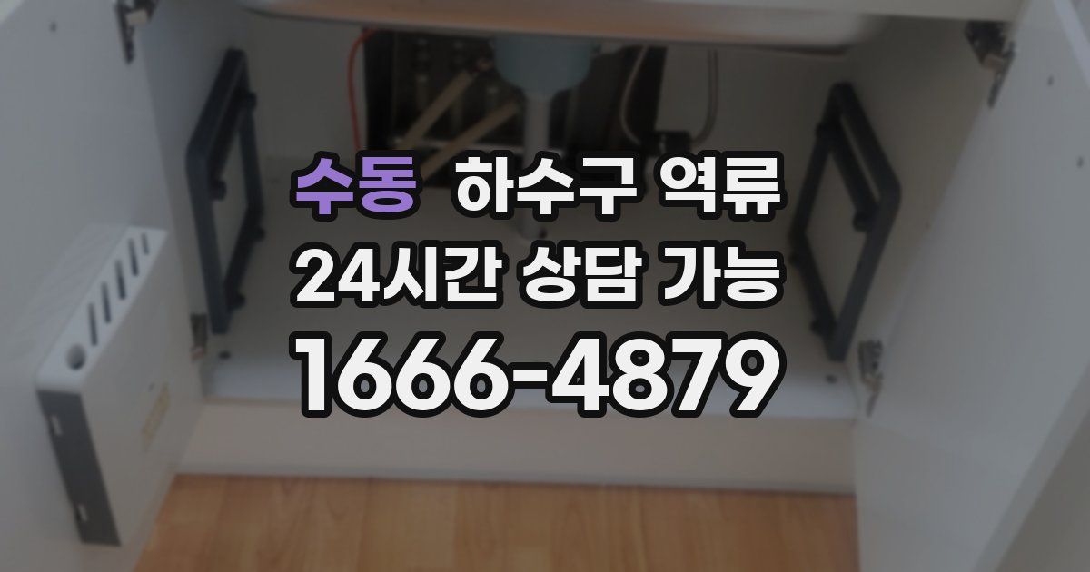 수동 하수구 역류