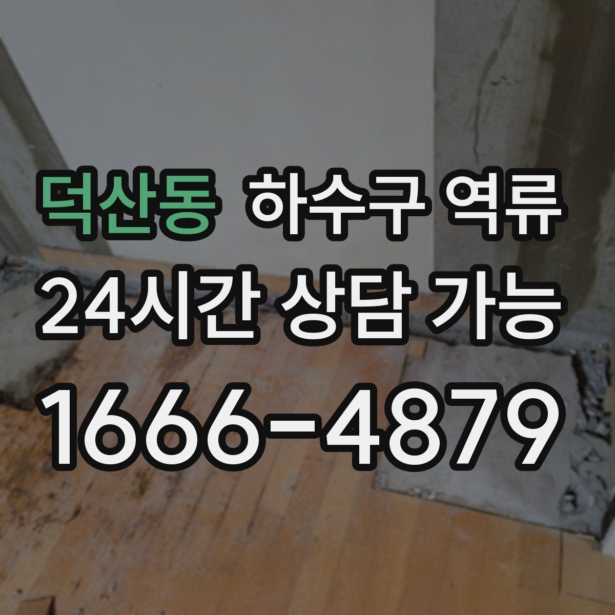 덕산동 하수구 역류