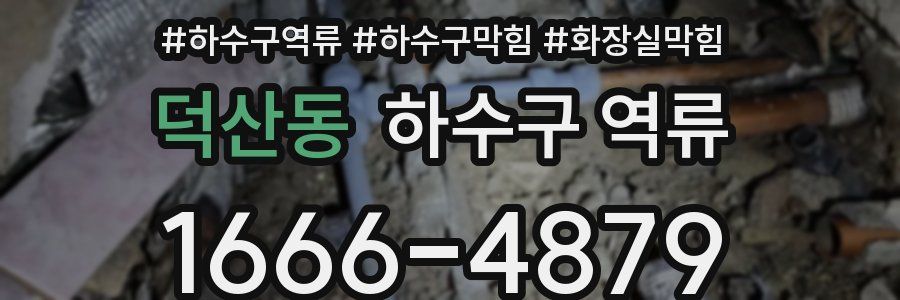 덕산동 하수구 역류