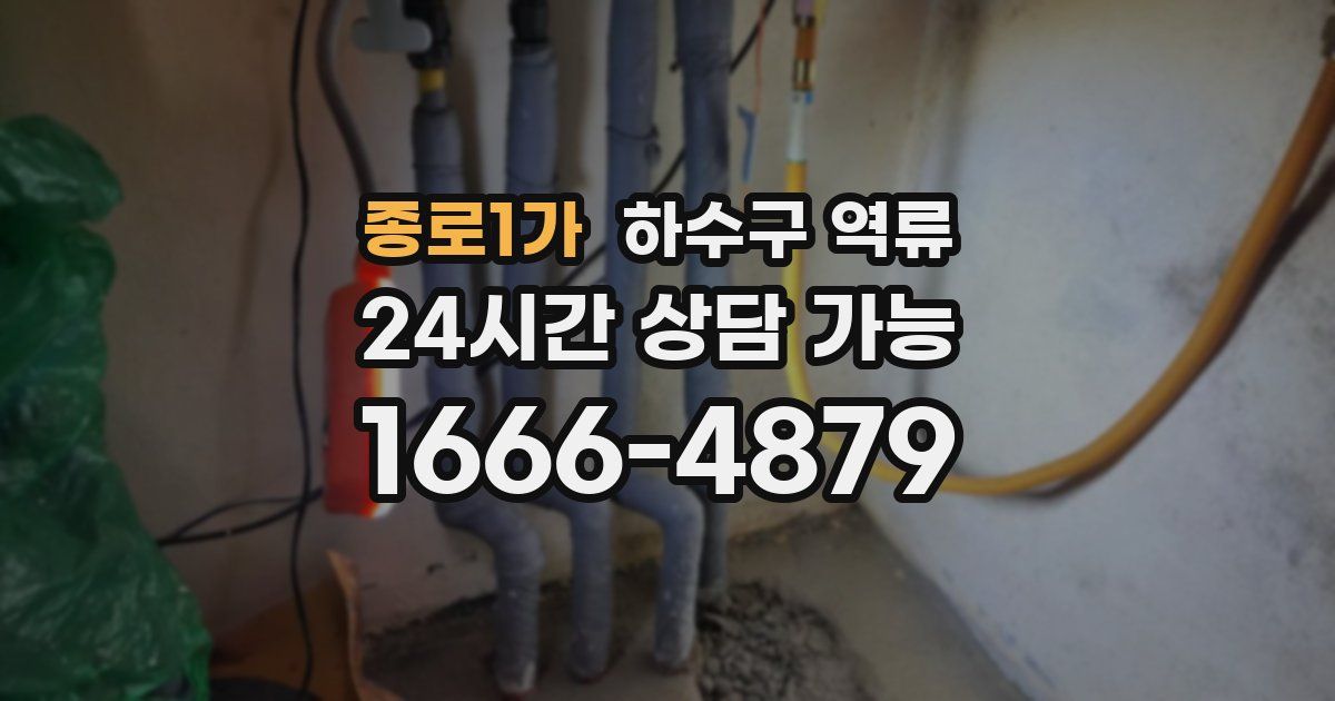 종로1가 하수구 역류