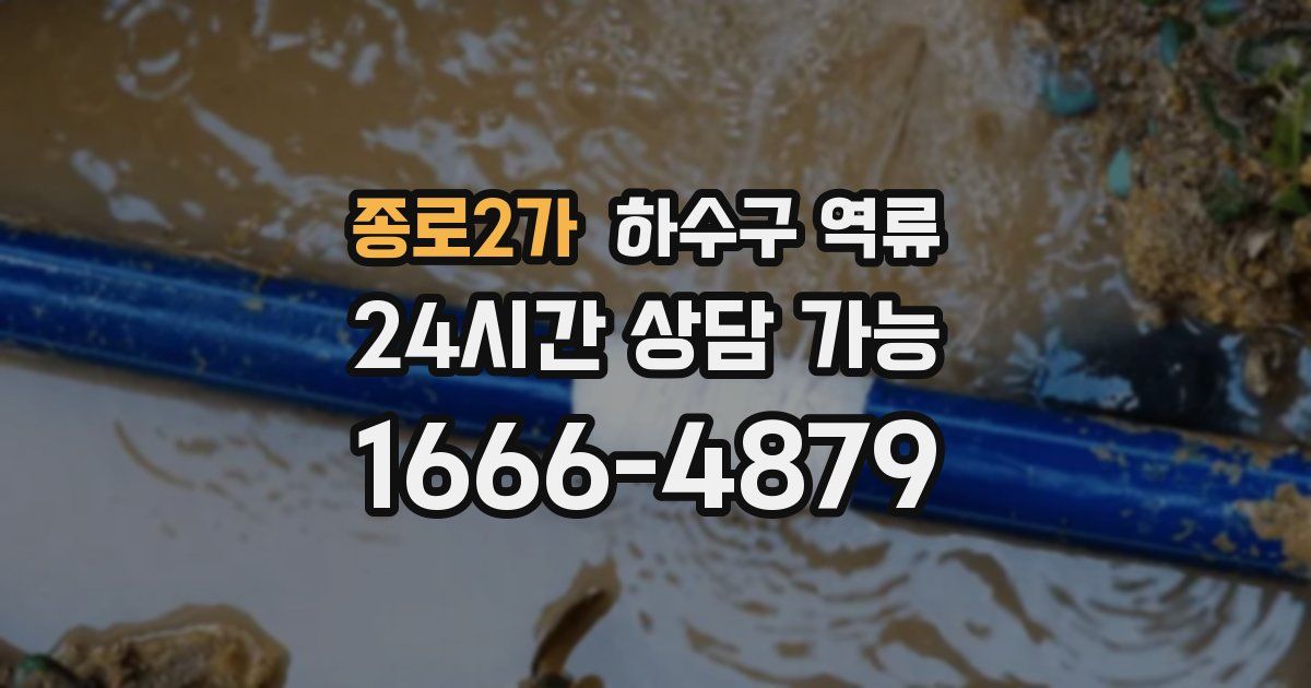 종로2가 하수구 역류