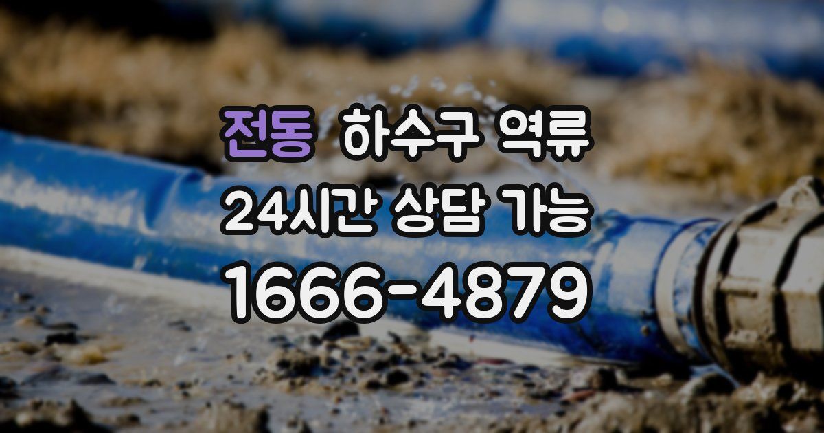 전동 하수구 역류