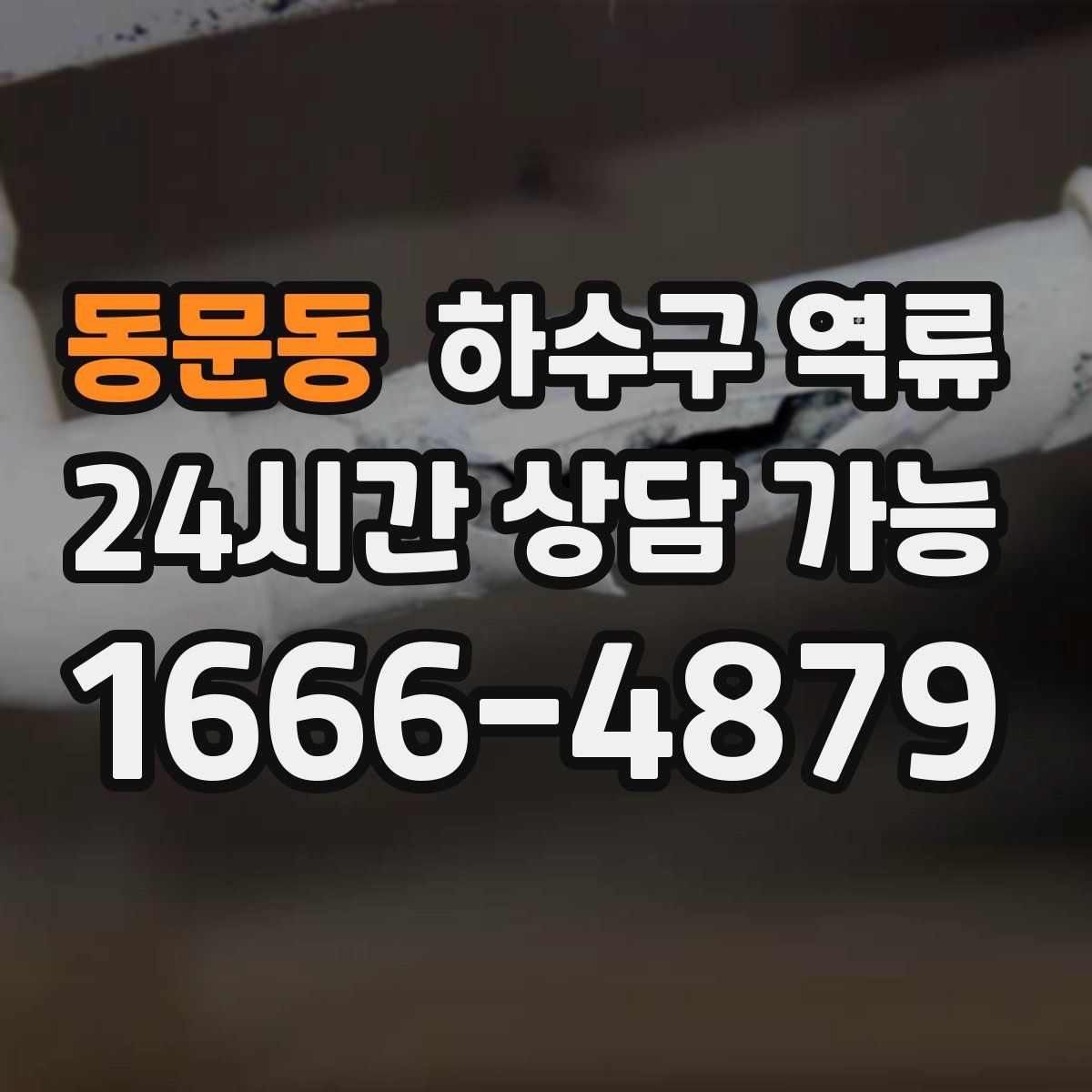 동문동 하수구 역류