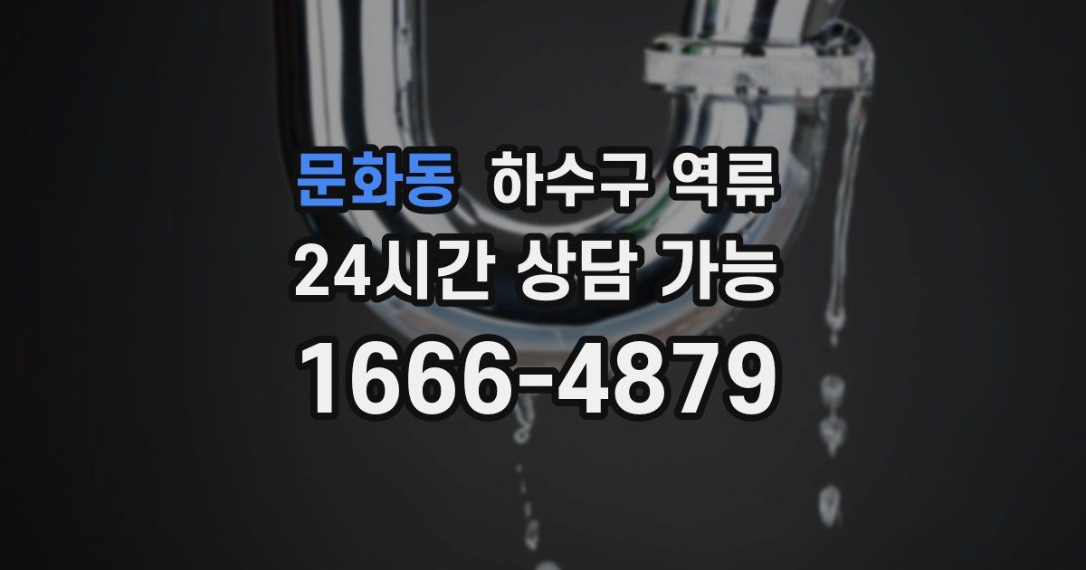 문화동 하수구 역류