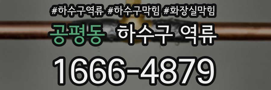 공평동 하수구 역류
