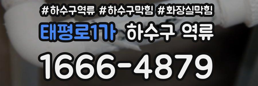 태평로1가 하수구 역류