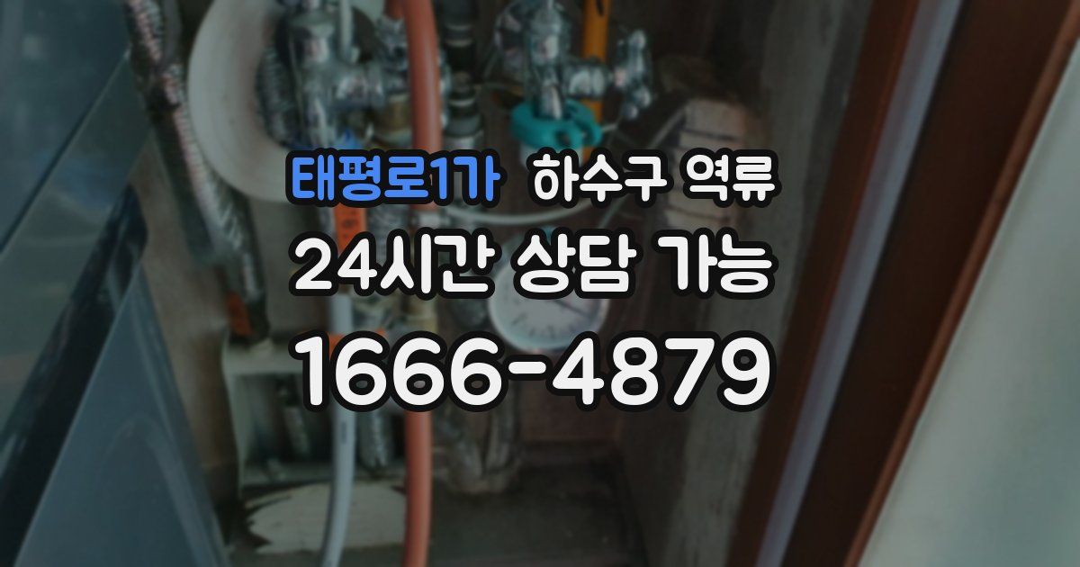 태평로1가 하수구 역류