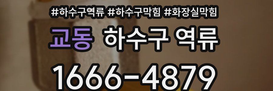 교동 하수구 역류