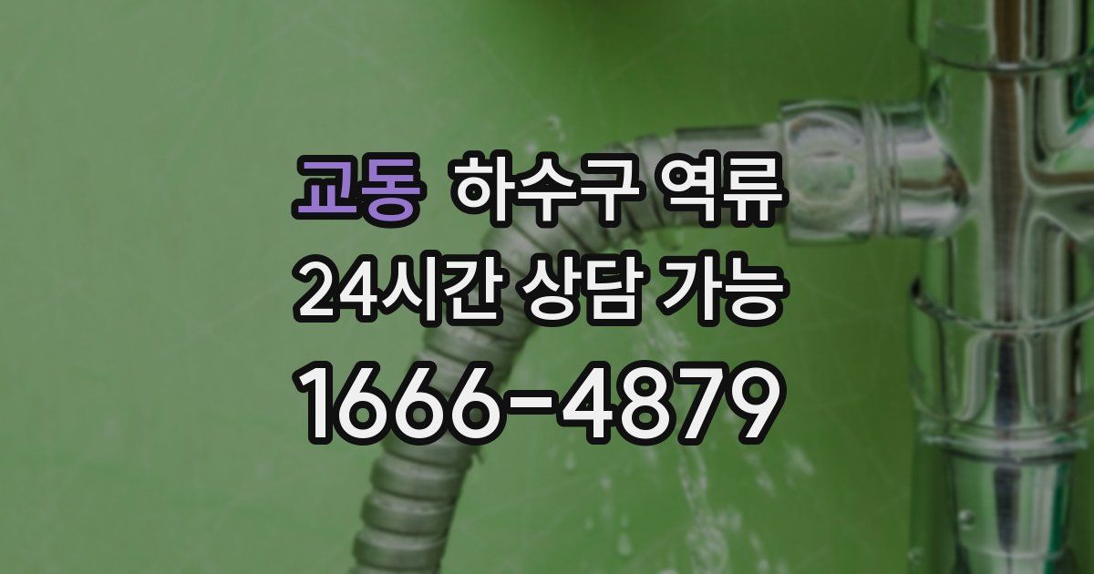 교동 하수구 역류