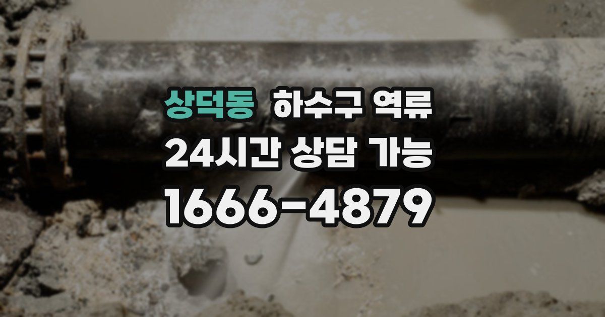 상덕동 하수구 역류