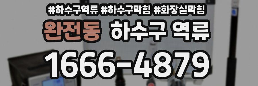 완전동 하수구 역류