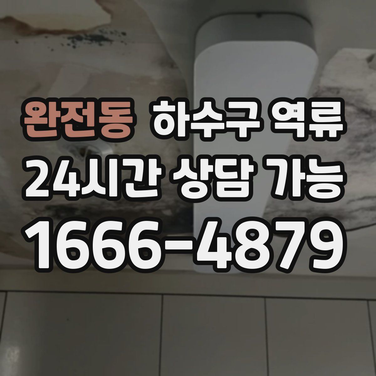 완전동 하수구 역류