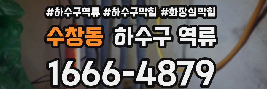 수창동 하수구 역류