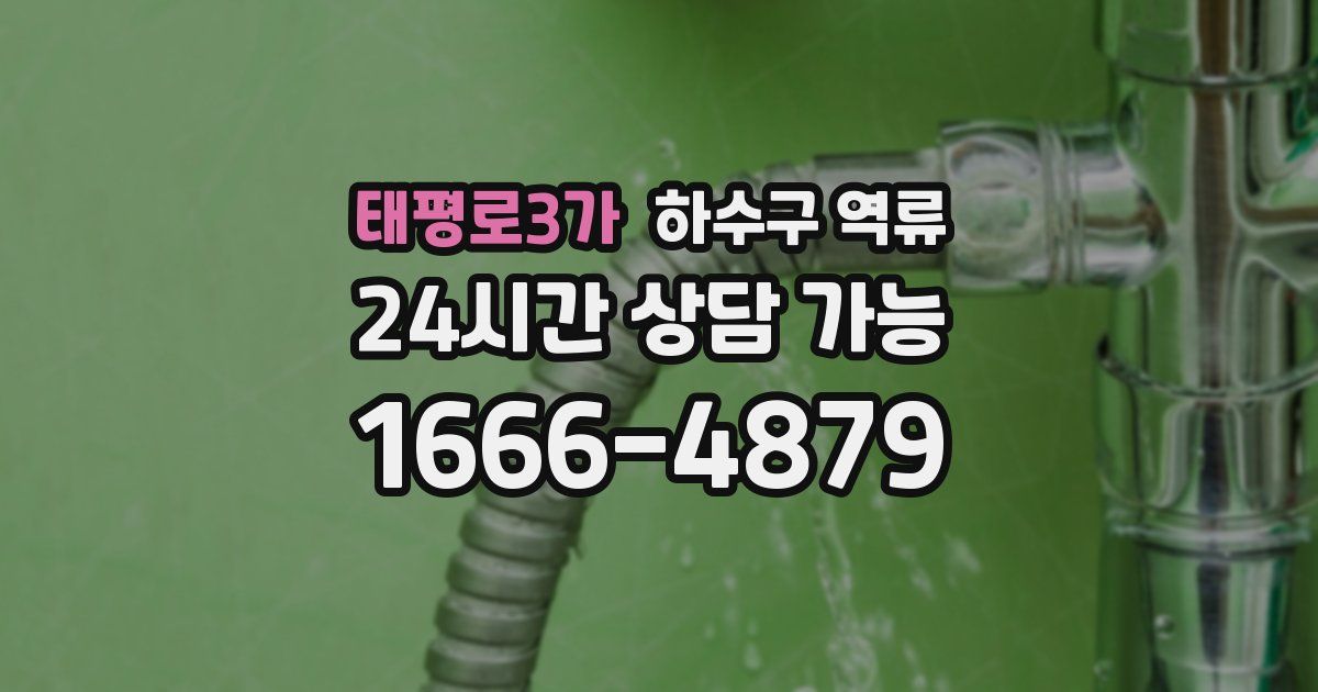 태평로3가 하수구 역류