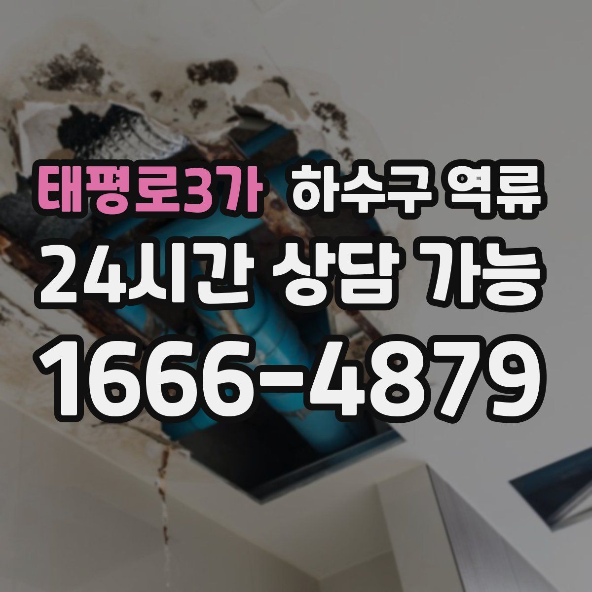 태평로3가 하수구 역류