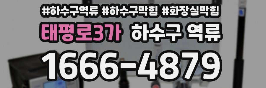 태평로3가 하수구 역류