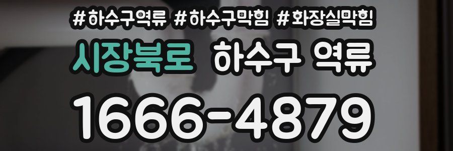 시장북로 하수구 역류