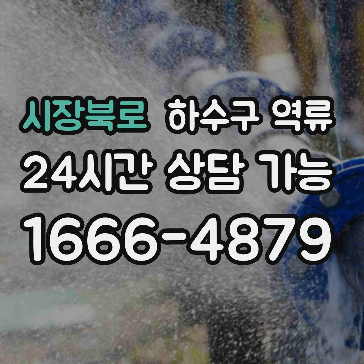시장북로 하수구 역류
