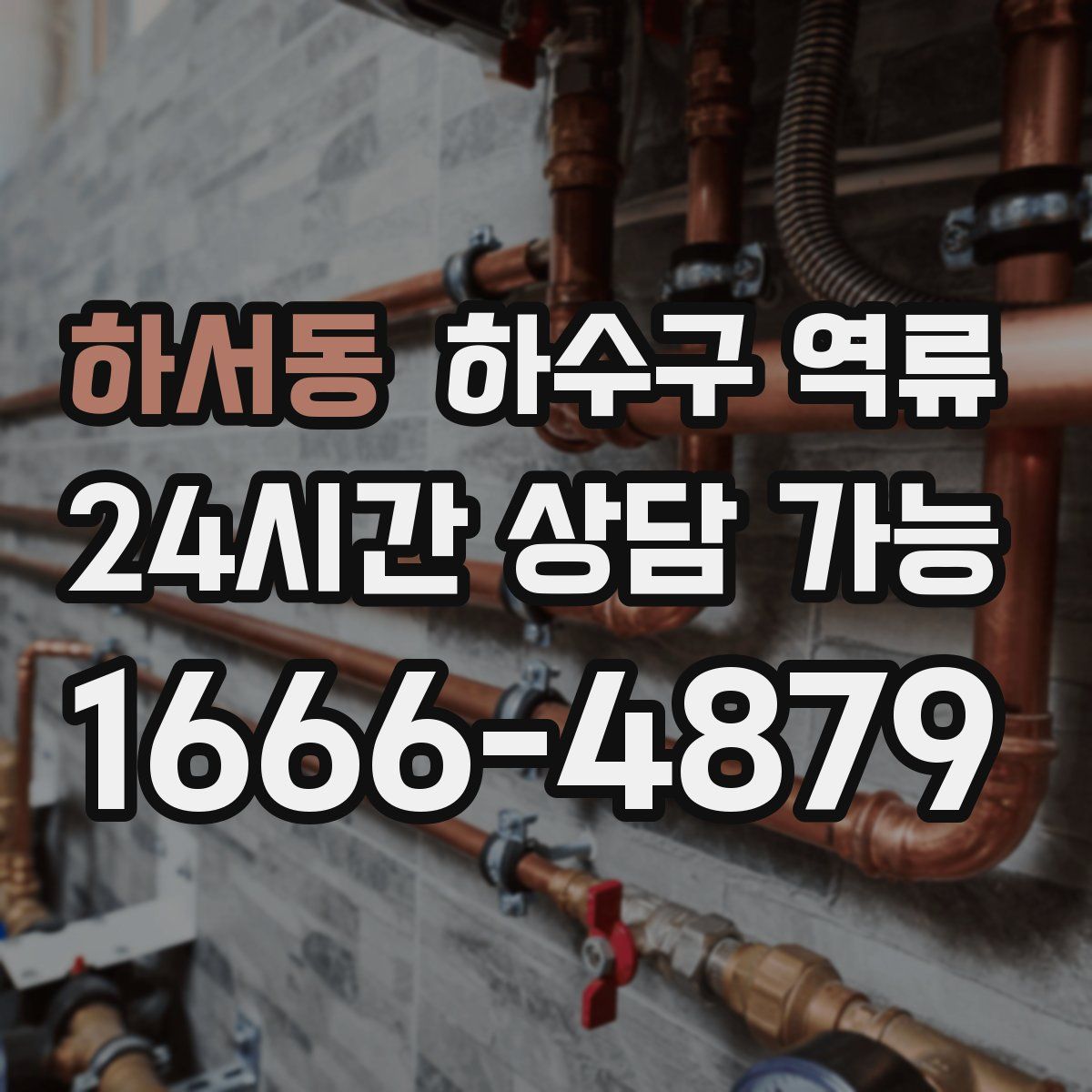 하서동 하수구 역류