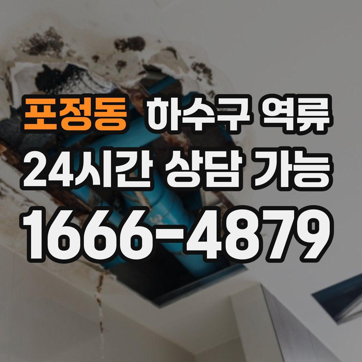 포정동 하수구 역류