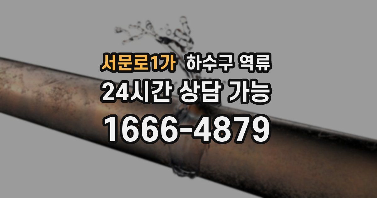 서문로1가 하수구 역류