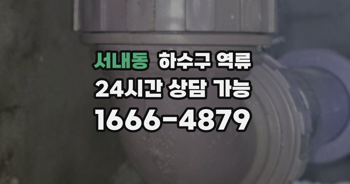 서내동 하수구 역류