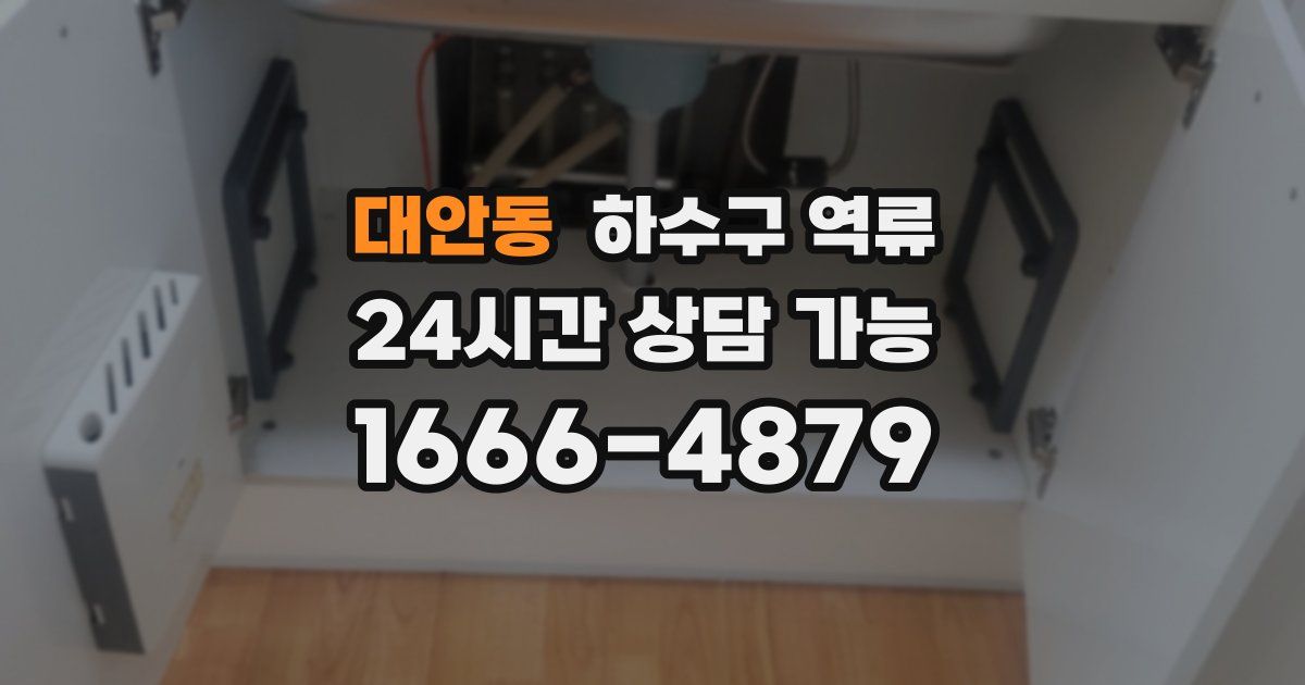 대안동 하수구 역류