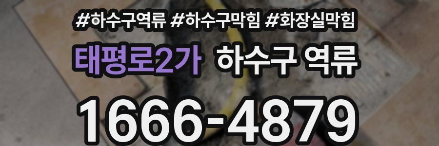 태평로2가 하수구 역류