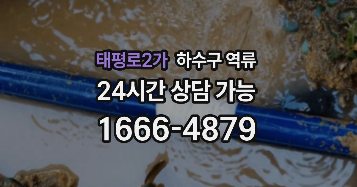 태평로2가 하수구 역류