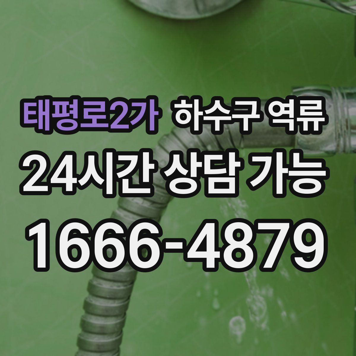 태평로2가 하수구 역류