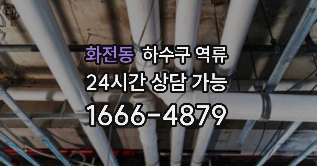 화전동 하수구 역류