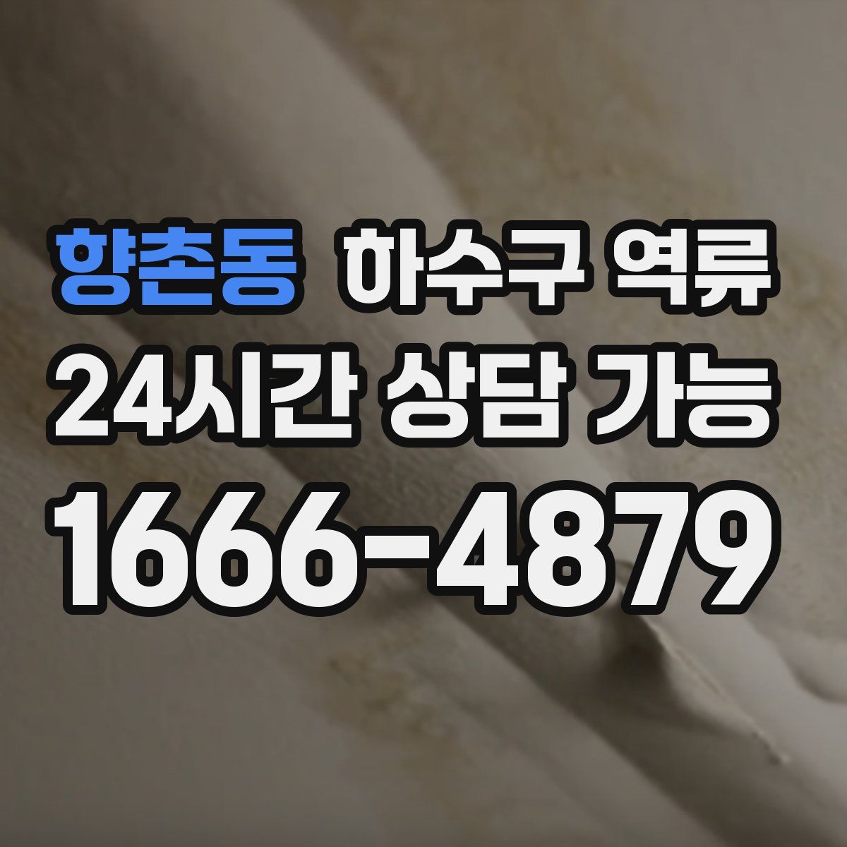 향촌동 하수구 역류