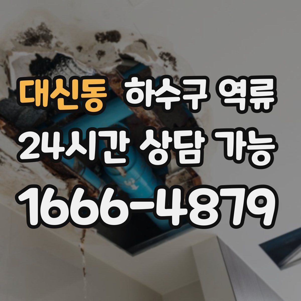 대신동 하수구 역류