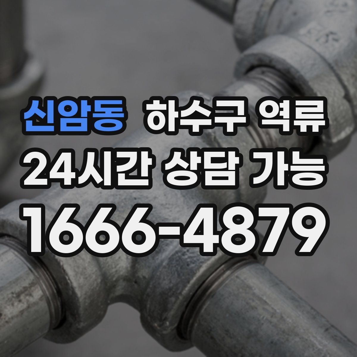 신암동 하수구 역류