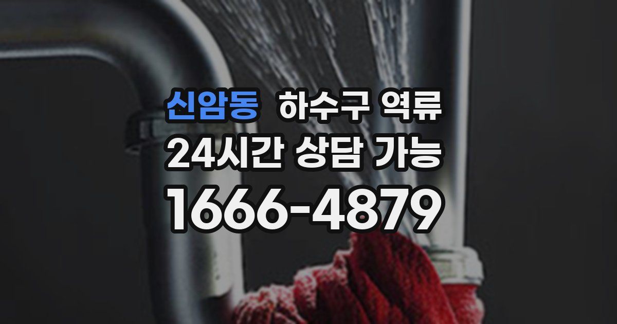 신암동 하수구 역류