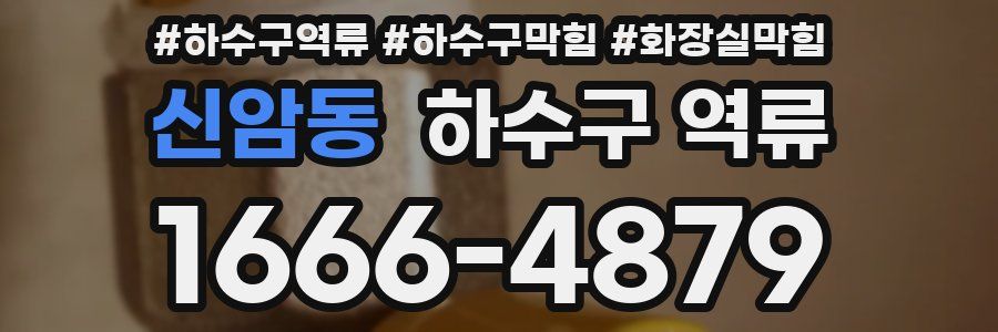 신암동 하수구 역류