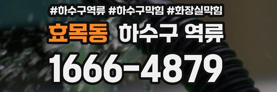 효목동 하수구 역류