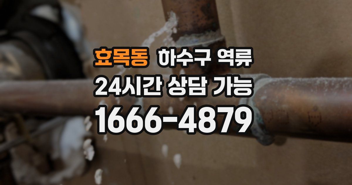 효목동 하수구 역류